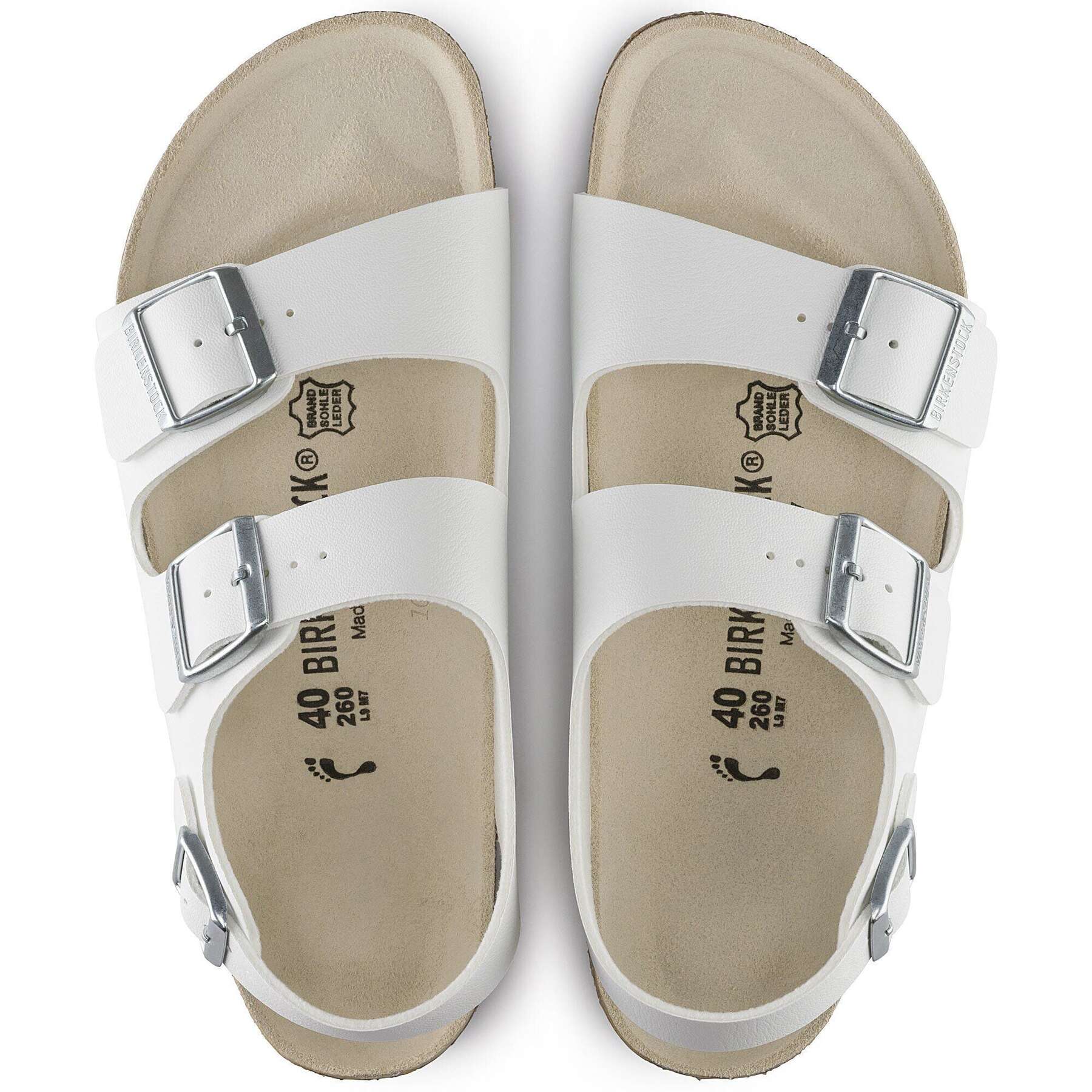 Alternative view of Milano Birko-Flor